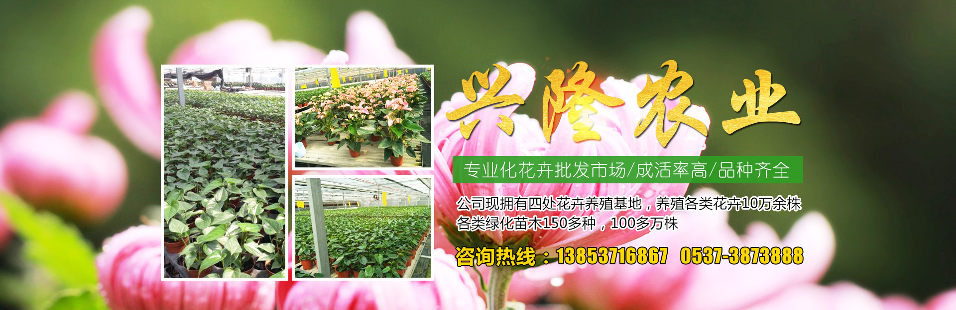 山东晟诚医用设备有限公司